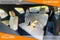 2023 Chevrolet Traverse AWD LS