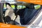 2024 Volvo XC40 B5 Plus Dark Theme